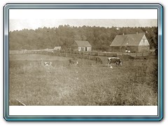 Gajówka Wielki Bór k. Pomorza przed 1945 r. Fotografia przesłana do żony Władysławy z Kamińskich przez gajowego Aleksandra Bieleckiego, który znalazł się wśród ofiar Obławy Augustowskiej.